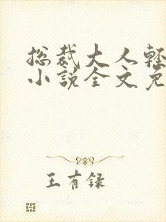 总裁大人轻点宠小说全文免费阅读封面