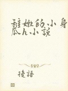 稚嫩的小身子破瓜h小说封面