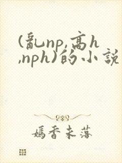 (乱np,高h,nph)的小说