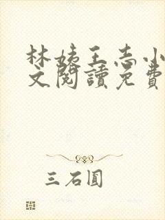 林姨王志小说全文阅读免费月明星稀