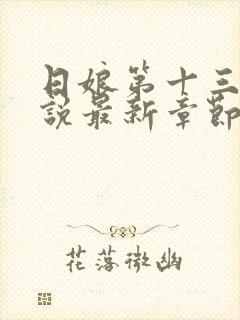 日娘第十三回小说最新章节更新时间