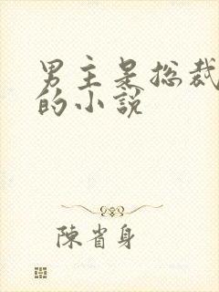 男主是总裁姓盛的小说封面