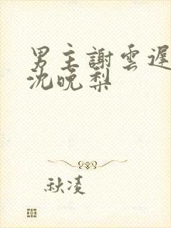 男主谢云迟女主沈晚梨