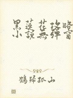 黑莲花攻略手册小说无弹窗最新章节封面