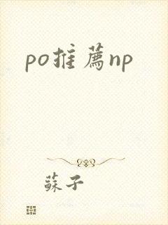 po推荐np