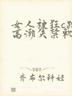 女人被狂c躁到高潮失禁软件封面