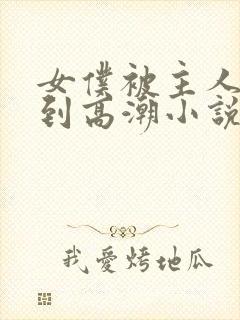 女仆被主人调教到高潮小说