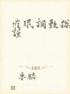 催眠调教总攻小说封面