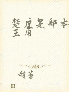 楚度是哪本小说主角