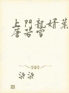 上门龙婿叶凡与唐若雪