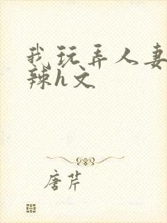 我玩弄人妻系列辣h文