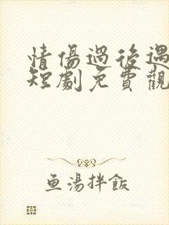 情伤过后遇深情短剧免费观看