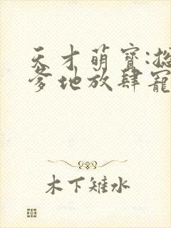 天才萌宝:总裁爹地放肆宠