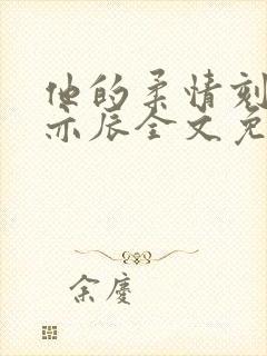 他的柔情刻骨江亦辰全文免费阅读封面