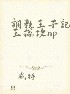 调教王子记【网王总攻np