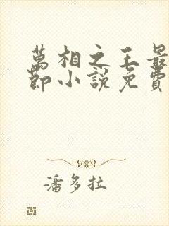 万相之王最新章节小说免费阅读