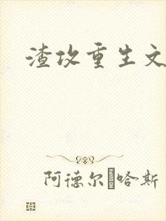 渣攻重生文推荐封面