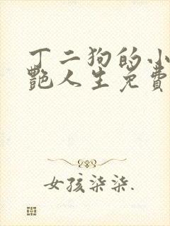 丁二狗的小说猎艳人生免费阅读全文