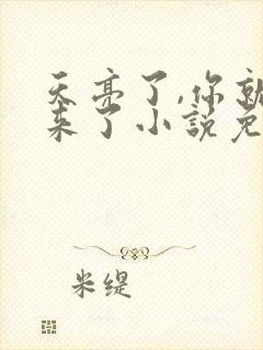 天亮了,你就回来了小说免费看封面