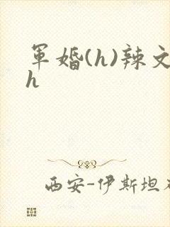 军婚(h)辣文h