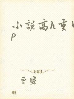 小说高h重口np