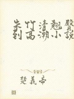 朱竹清翘臀被c到高潮小说封面