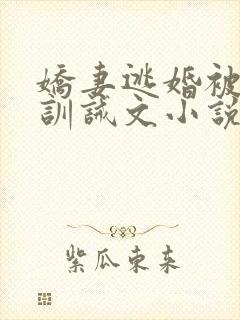 娇妻逃婚被罚的训诫文小说