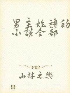 男主姓穆的古代小说全部