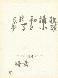 《我和摄政王共梦了》小说
