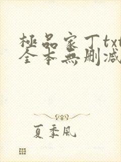极品家丁txt全本无删减