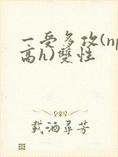 一受多攻(np高h)双性