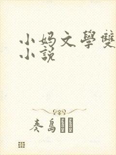 小妈文学双男主小说