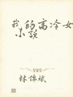 我的高冷女总裁 小说