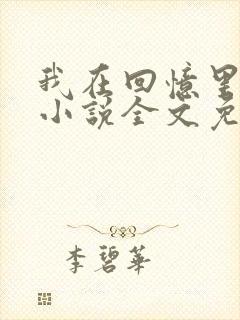 我在回忆里等你小说全文免费阅读