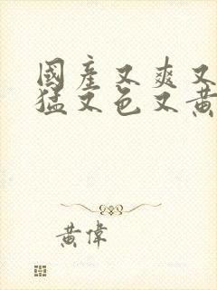 国产又爽又粗又猛又色又黄网站.