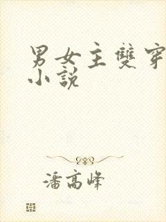 男女主双穿玄幻小说封面