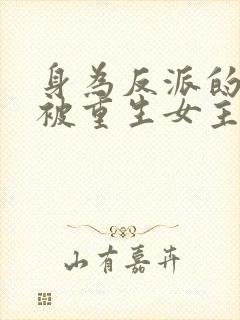 身为反派的我却被重生女主倒追