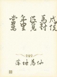 当年匹马戍梁州万里觅封侯