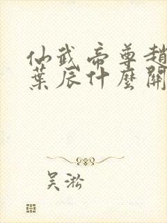 仙武帝尊赵云和叶辰什么关系