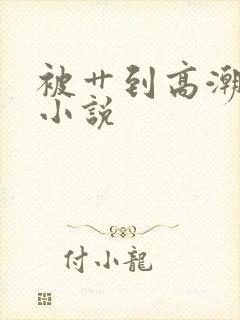 被艹到高潮免费小说