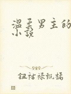 温柔男主的古言小说