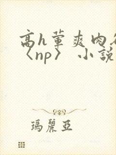高h荤爽肉欲文〈np〉 小说封面