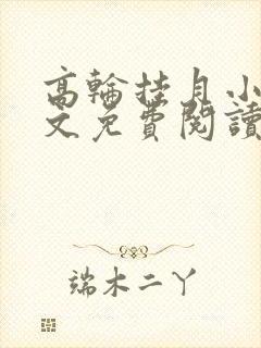 高轮挂月小说全文免费阅读最新章节