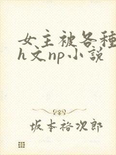 女主被各种调教h文np小说