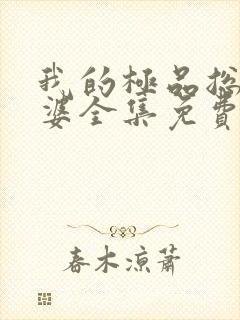 我的极品总裁老婆全集免费