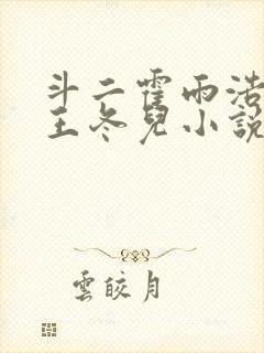 斗二霍雨浩cp王冬儿小说封面