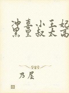 冲喜小王妃:腹黑皇叔太高冷小说