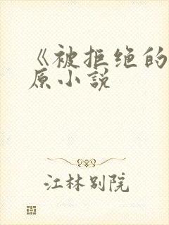 《被拒绝的爱》原小说