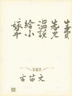 嫁给温先生第五年小说免费阅读