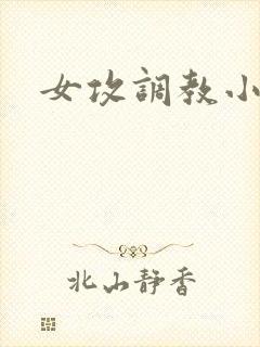 女攻调教小说h封面
